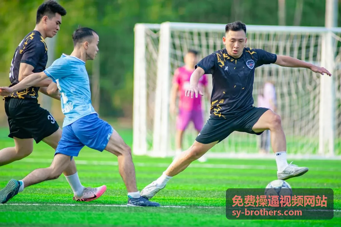 高清视频