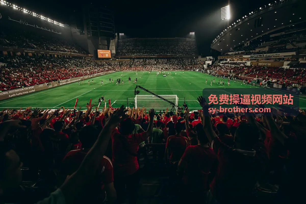 高清午夜激情视频 F